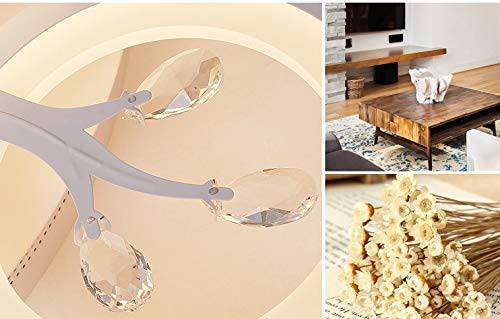 Pearl Body House Ceiling Light